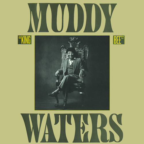 Muddy Waters album picture