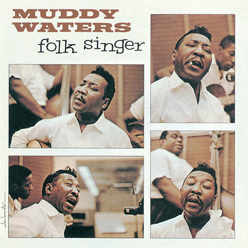Muddy Waters album picture