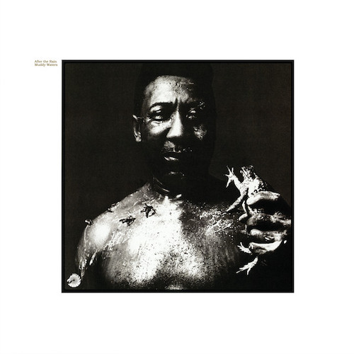 Muddy Waters album picture