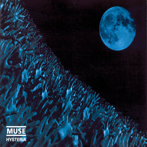 Muse album picture