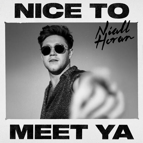 Niall Horan album picture