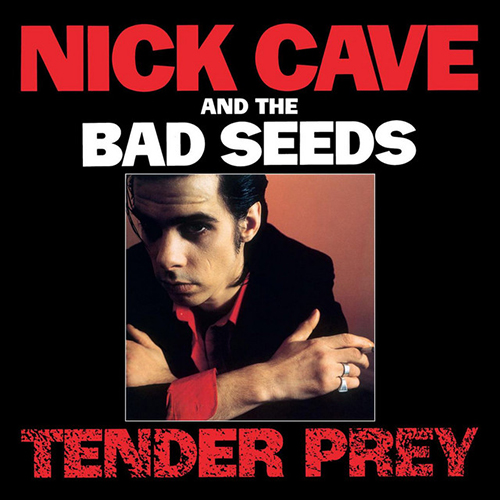 Nick Cave album picture