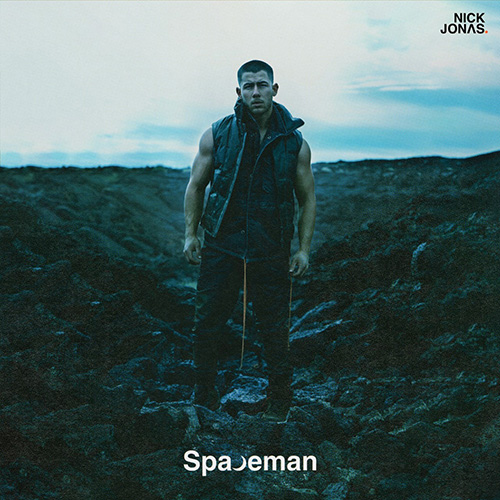 Nick Jonas album picture