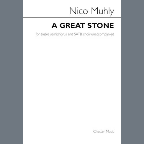 Nico Muhly album picture