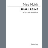 Download or print Nico Muhly Small Raine Sheet Music Printable PDF -page score for Classical / arranged SATB Choir SKU: 509462.