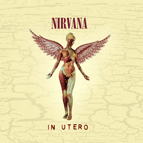 Nirvana album picture