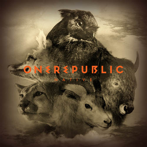 OneRepublic album picture