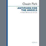 Download or print Owain Park Antiphon For The Angels (Vocal score) Sheet Music Printable PDF -page score for Concert / arranged SSAATTBB Choir SKU: 1790406.