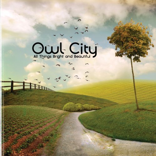 Owl City album picture