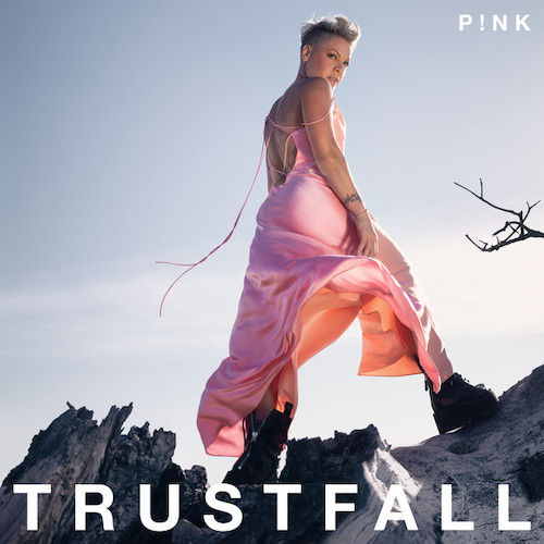 P!nk album picture