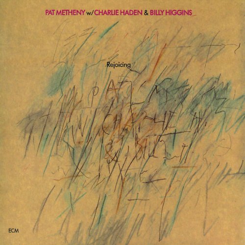 Pat Metheny album picture