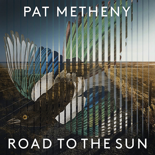 Pat Metheny album picture