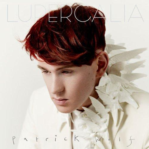 Patrick Wolf album picture