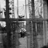 Download or print Paul McCartney A Certain Softness Sheet Music Printable PDF -page score for Pop / arranged Piano, Vocal & Guitar (Right-Hand Melody) SKU: 32888.