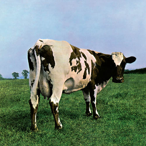 Pink Floyd album picture