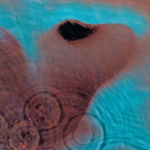 Pink Floyd album picture