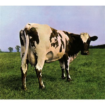 Pink Floyd album picture