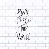 Download or print Pink Floyd Nobody Home Sheet Music Printable PDF -page score for Rock / arranged Lyrics & Chords SKU: 161679.