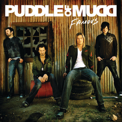 Puddle Of Mudd album picture