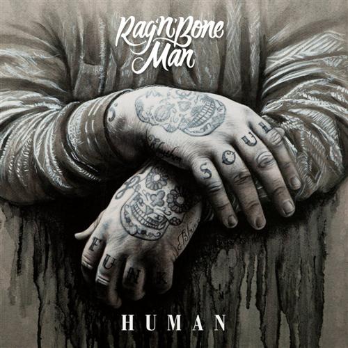 Rag 'n' Bone Man album picture