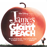 Download or print Randy Newman My Name Is James (from James and the Giant Peach) Sheet Music Printable PDF -page score for Film/TV / arranged Piano & Vocal SKU: 1313704.