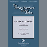 Download or print Richard Burchard A Red, Red Rose Sheet Music Printable PDF -page score for Concert / arranged SATB Choir SKU: 431029.