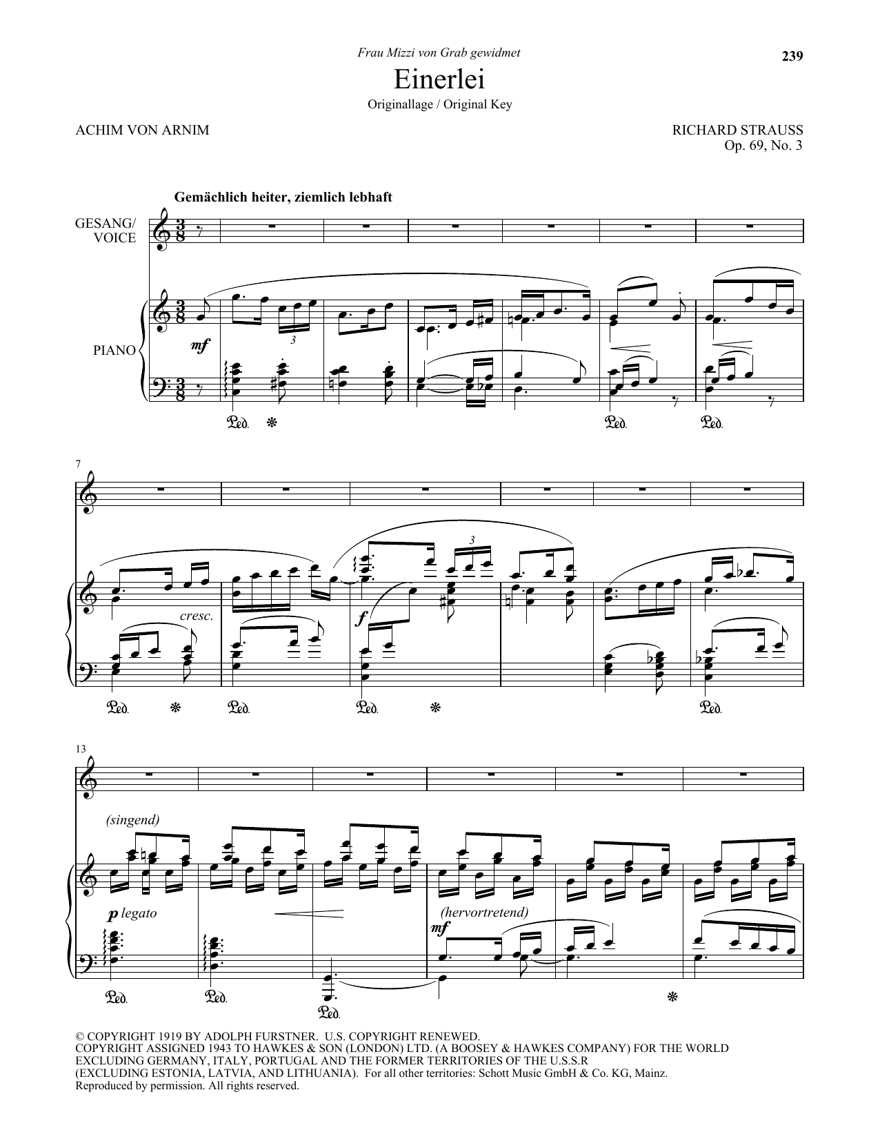 Download Richard Strauss Einerlei (High Voice) Sheet Music and learn how to play Piano & Vocal PDF digital score in minutes