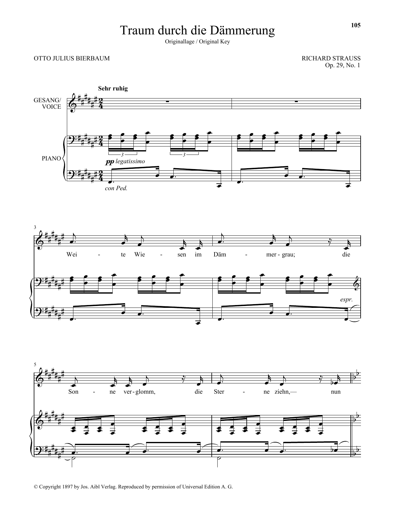Download Richard Strauss Traum Durch Die Dammerung (High Voice) Sheet Music and learn how to play Piano & Vocal PDF digital score in minutes