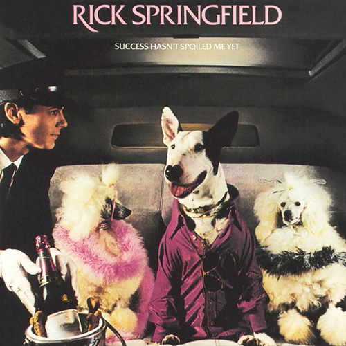 Rick Springfield album picture