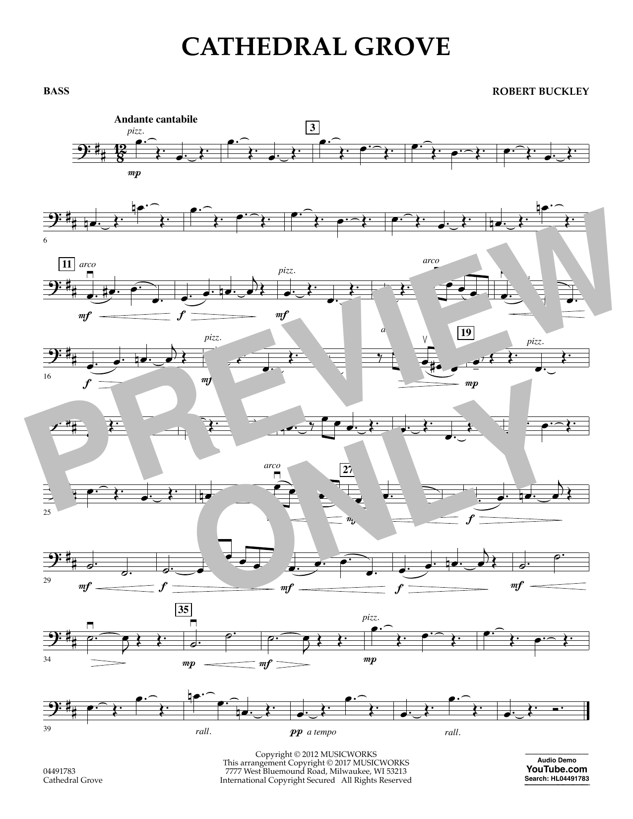Download Robert Buckley Cathedral Grove - Bass Sheet Music and learn how to play Orchestra PDF digital score in minutes