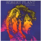 Download or print Robert Plant Hurting Kind (I've Got My Eyes On You) Sheet Music Printable PDF -page score for Rock / arranged Piano, Vocal & Guitar (Right-Hand Melody) SKU: 83389.