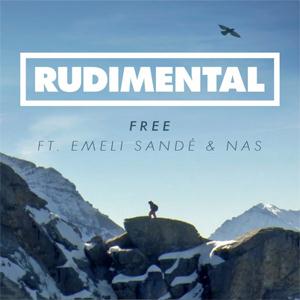 Rudimental album picture