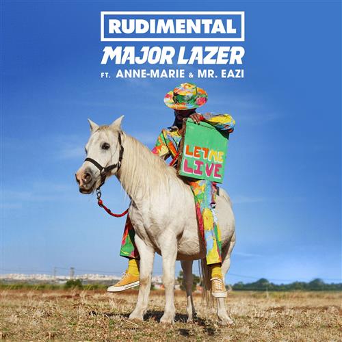 Rudimental album picture