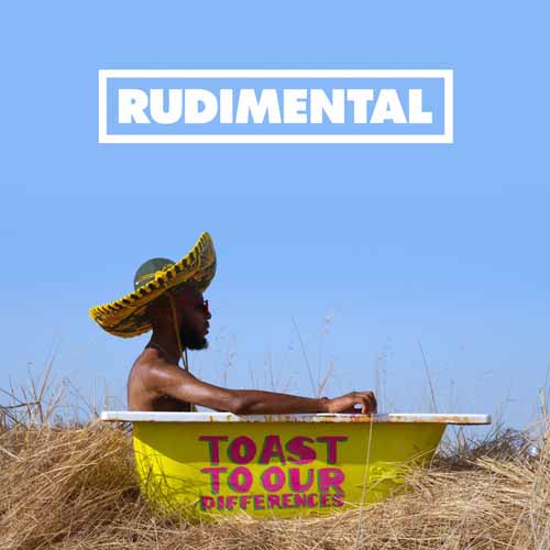 Rudimental album picture