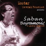 Download or print Saban Bajramovic Sila Kale Bal Sheet Music Printable PDF -page score for Folk / arranged Melody Line, Lyrics & Chords SKU: 122609.