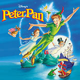 Download or print Sammy Fain The Second Star To The Right (from Peter Pan) Sheet Music Printable PDF -page score for Disney / arranged Recorder Solo SKU: 917264.