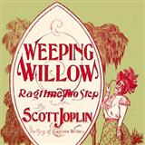Download or print Scott Joplin Weeping Willow Rag Sheet Music Printable PDF -page score for Ragtime / arranged Easy Piano SKU: 103950.