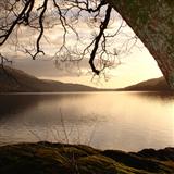 Download or print Scottish Folksong Loch Lomond Sheet Music Printable PDF -page score for Folk / arranged Piano, Vocal & Guitar (Right-Hand Melody) SKU: 69145.