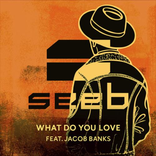 Seeb album picture