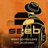 Download or print Seeb What Do You Love (feat. Jacob Banks) Sheet Music Printable PDF -page score for Pop / arranged Piano, Vocal & Guitar (Right-Hand Melody) SKU: 124195.