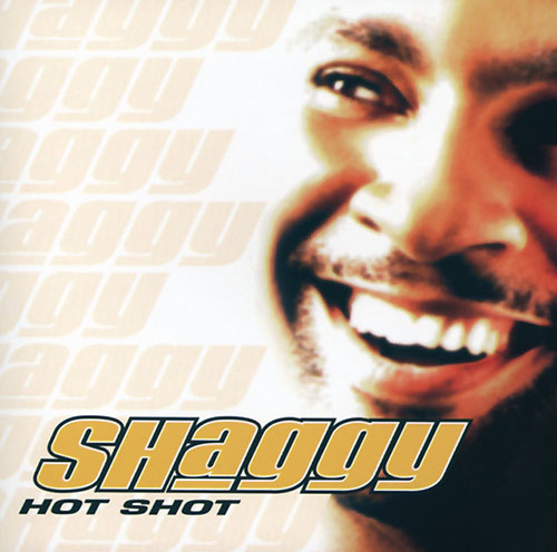 Shaggy and Rayvon album picture