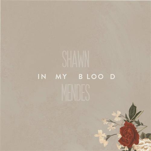 Shawn Mendes album picture