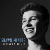 Download or print Shawn Mendes Life Of The Party Sheet Music Printable PDF -page score for Pop / arranged Piano, Vocal & Guitar (Right-Hand Melody) SKU: 159999.