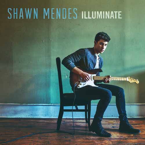 Shawn Mendes album picture