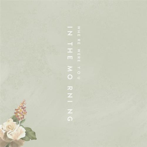 Shawn Mendes album picture