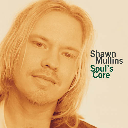 Shawn Mullins album picture
