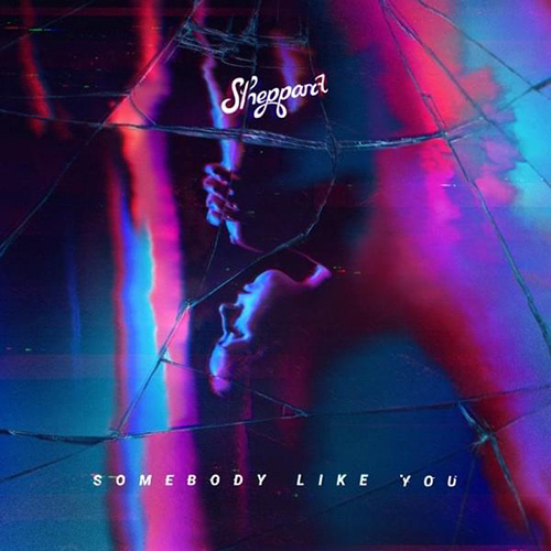Sheppard album picture