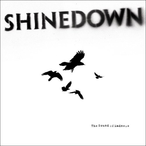 Shinedown album picture