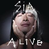 Download or print Sia Alive Sheet Music Printable PDF -page score for Pop / arranged Piano, Vocal & Guitar SKU: 122588.