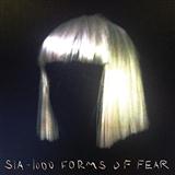 Download or print Sia Big Girls Cry Sheet Music Printable PDF -page score for Pop / arranged Piano, Vocal & Guitar (Right-Hand Melody) SKU: 164008.
